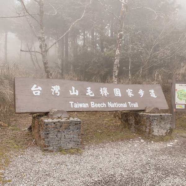 【宜蘭-太平山】懷古思幽-五步道879905