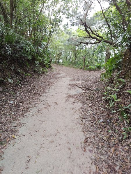 臺北大縱走第四段 風櫃口至中華科技大學2774224