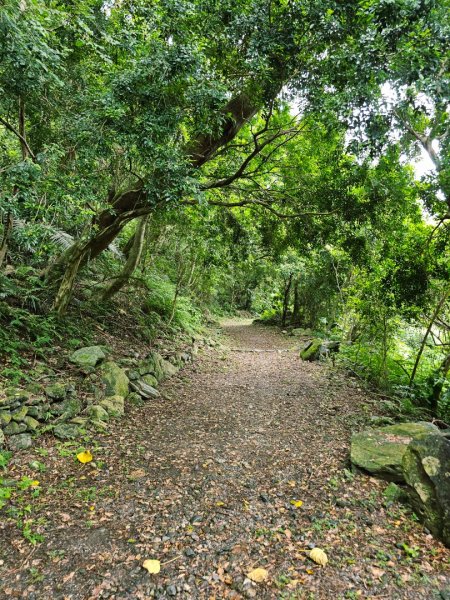 得卡倫步道2833846