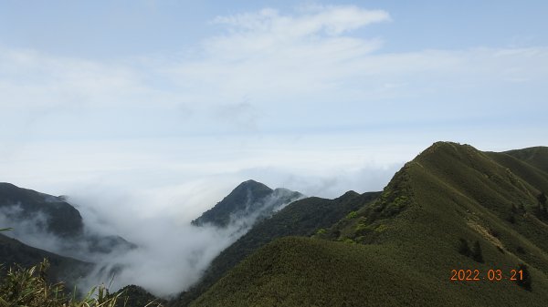 陽明山趴趴走，整天差強人意雲海1650821