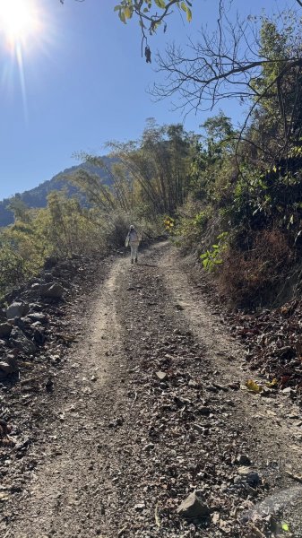 20260212 小百岳白雲山及西阿里關山3002905
