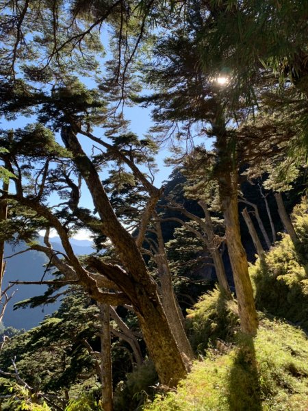 玉山主峰、玉山北峰湛藍大景739291