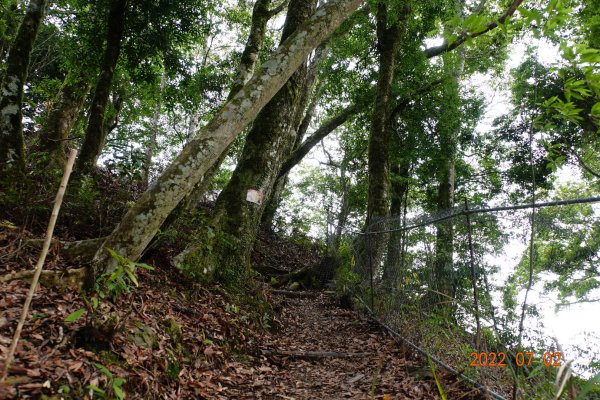 桃園 復興 夫婦山1751548