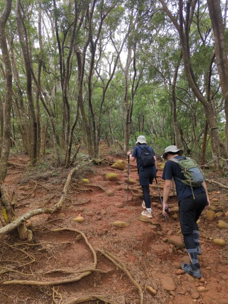 2025.07.12－火炎山、南鞍古道O行縱走2834817
