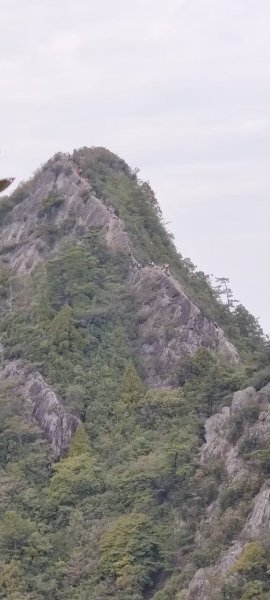 中級山-鳶嘴稍來2889028