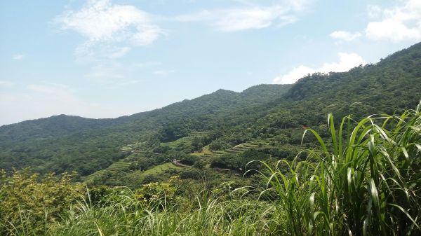 105.06.18 青山瀑布 尖山湖步道190724