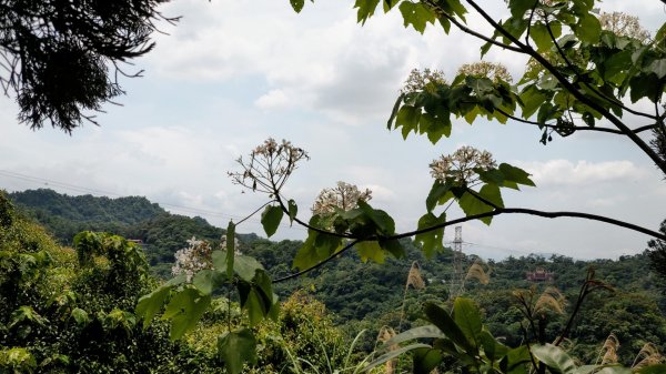 虎山峰 虎山自然步道 虎山溪步道938668