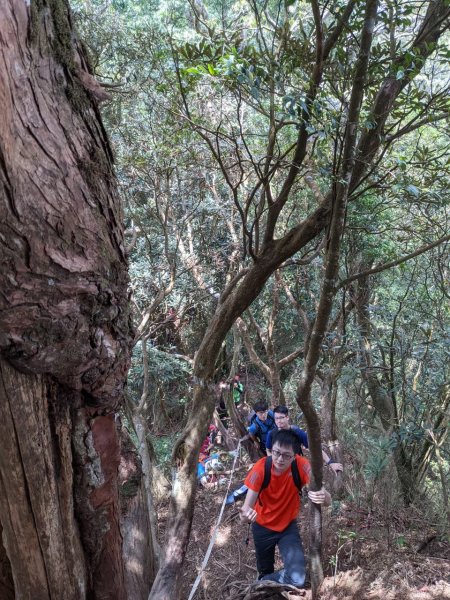 中級山-高島縱走2888427