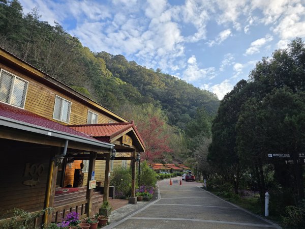 20250228 桃山+池有山2919190