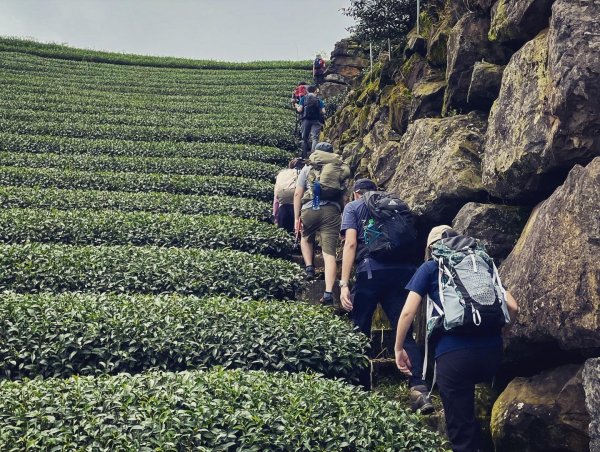 二延坪_鹿林山2865330