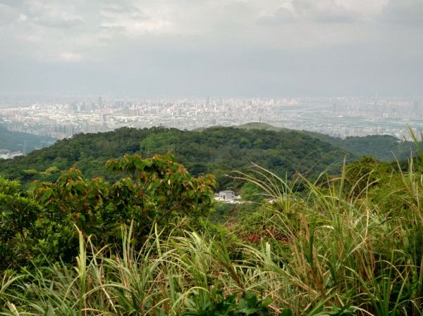 大棟山之旅391912