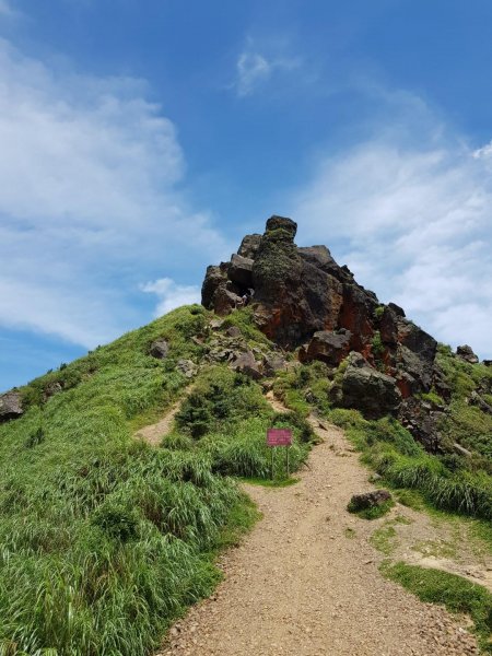 2019.06.21報時山、無耳茶壺山614727