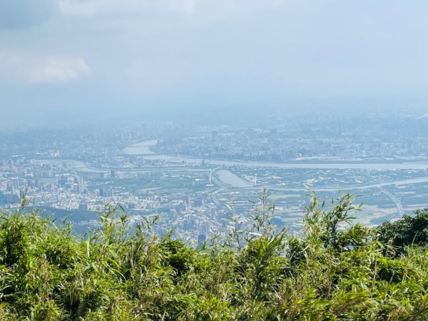 1130804面天山-向天山2567345