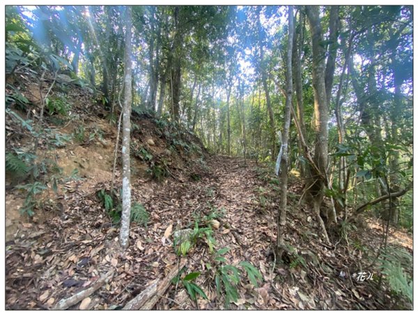 巴幸山、打鐵坑山、稍來坑山、和平14基石連走3018113
