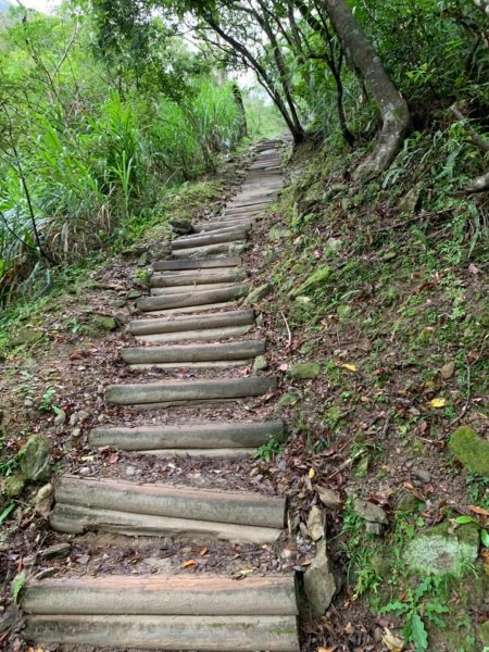 白牆版錐麓古道487171