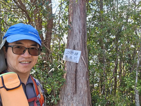 蝶夢八唐（裡冷登山口往返）八仙山出雲海下山順賞富士櫻2722728