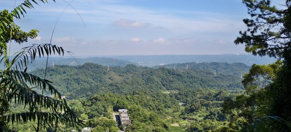 2025/08/09_赤柯山+東獅頭山步道2856301