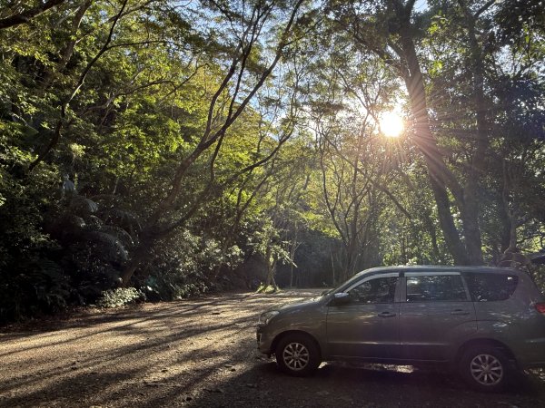 山毛櫸掉光光的 卡保逐鹿O繞 202511152937441