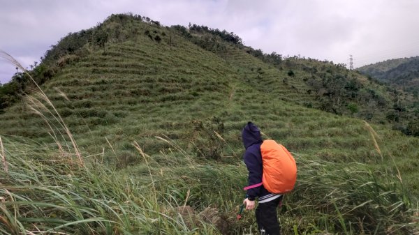 1090208鵲子山/跑馬古道/大金面山844270