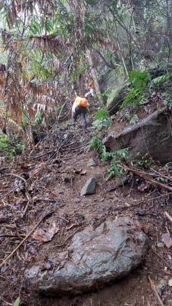新竹內灣麥樹仁山五連峰2763834