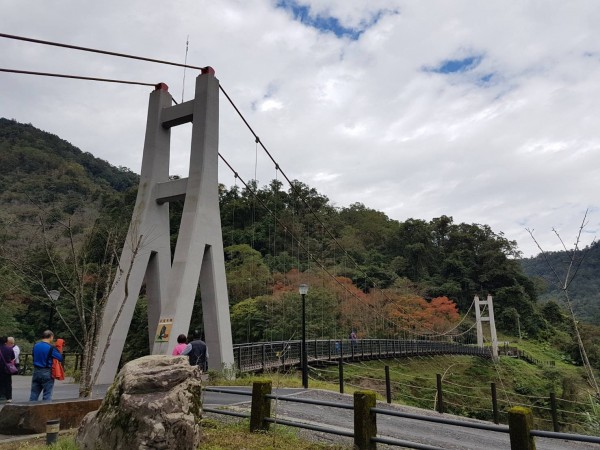 【新聞】來鳩之澤享受泡湯及自然步道的楓紅森林療癒之旅