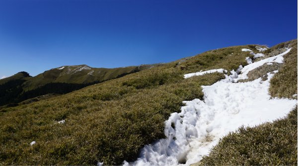 合歡山北峰510409