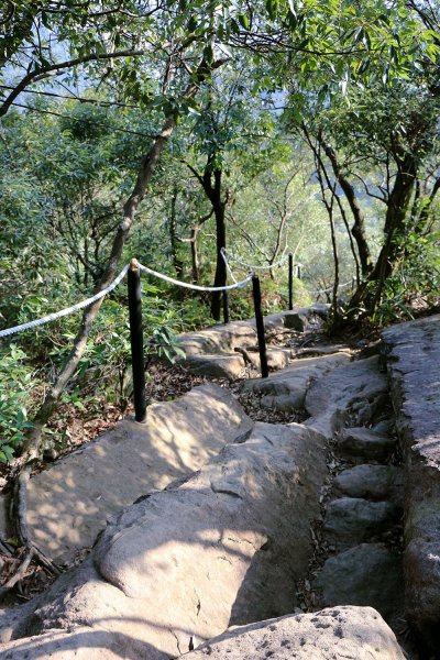 金面山。九蓮寺523748