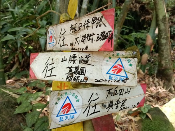 內湖區大丘田保甲路+開眼山+白石湖山+白石湖山東峰+大邱田山+消防山O型2858883