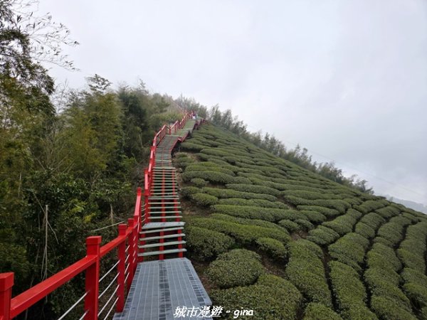 【嘉義梅山】雲嘉五連峰縱走3022306