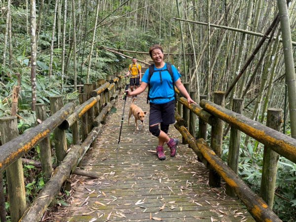 阿里山達娜伊谷、里美避難步道、巨石板步道2909936