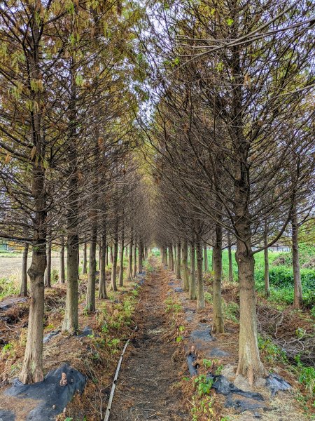 農禪寺,普濟寺2407047