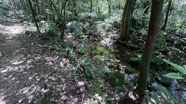 台北大縱走第四段2766845