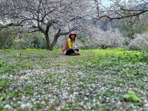 北港溪大峽谷 惠蓀林場2693020