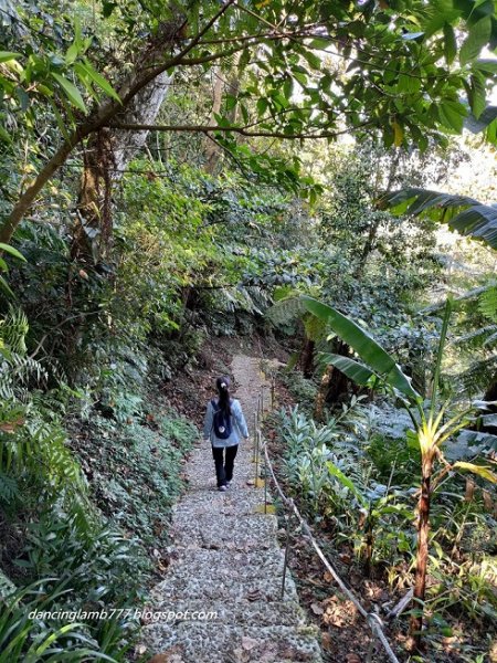 【新北】天上山步道~ 小百岳看盡大台北1604535