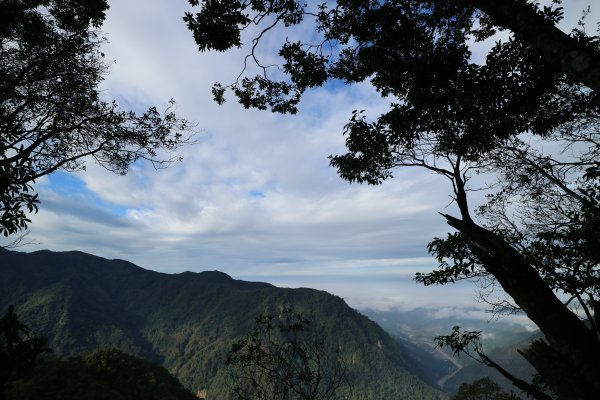 2017/12/02 上島山 (鳥嘴山)499868