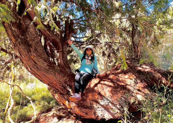 三星山(小百岳#85) 鳩之澤溫泉煮蛋趣2952846