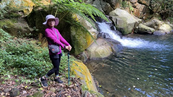 走青山瀑布探老梅冷泉|Qingshan Waterfall|秘境不秘|老梅瀑布|峯花雪月2561839