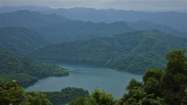 春之茶香花果處處開的石碇小格頭鱷魚島千島湖O型1688737