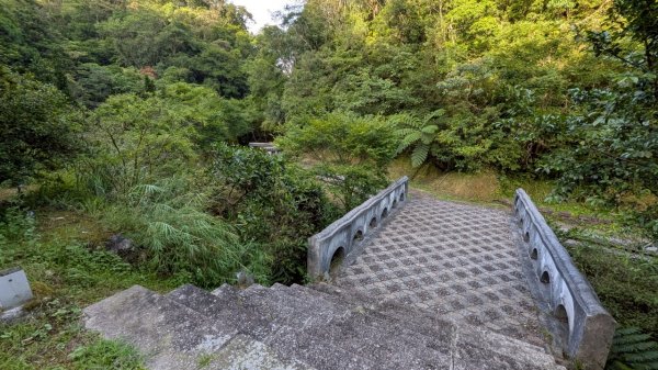 114.06.28內平林山-番子坑山-平湖森林遊樂區之O型2824287