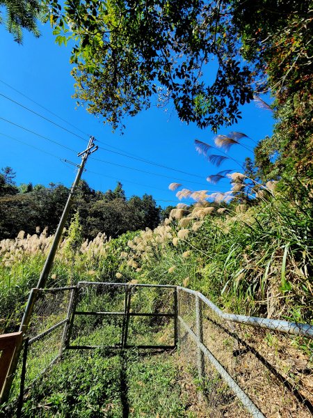 小百岳集起來-貓囒山2182818