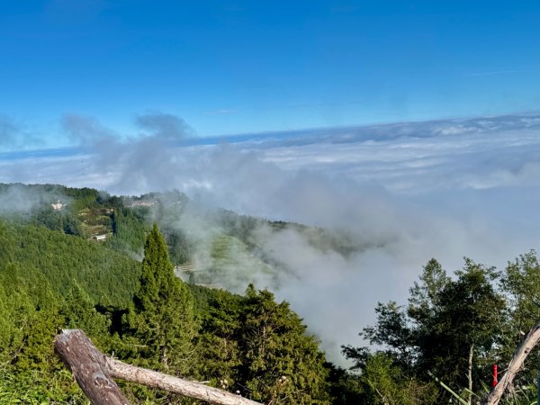 觀霧-榛山步道2925992