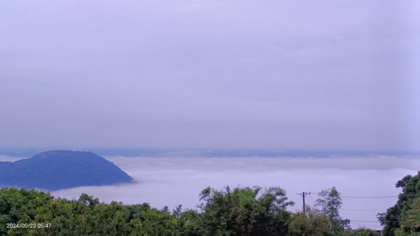 陽明山再見雲海&雲瀑5/23 #五色鳥育雛2510707