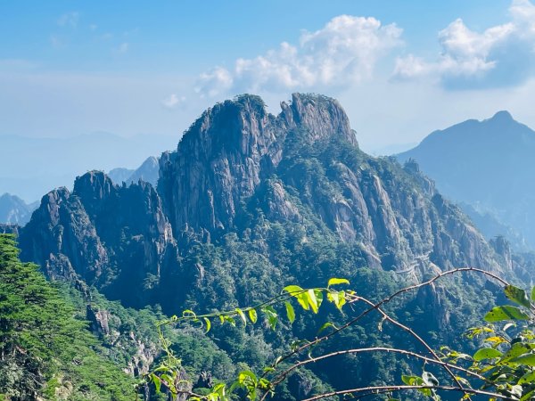 1140915-17安徽省黃山2891408