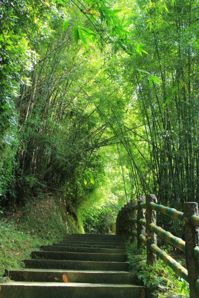 台南虎形山公園步道202009191159507