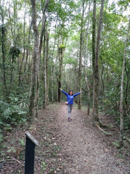 松羅步道→天送埤→拳頭姆步道→長埤湖風景區【宜蘭 - 台灣百大必訪步道】2258149