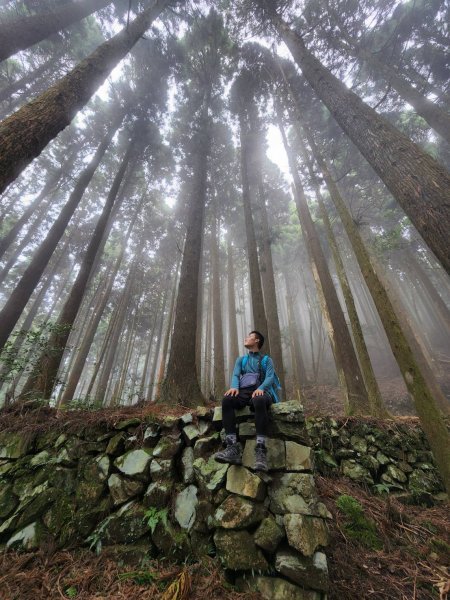 2022-022C：李崠山（宇老線）Ｏ型走法