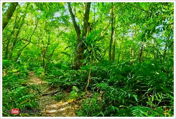 【北北基】山岳步道2492121