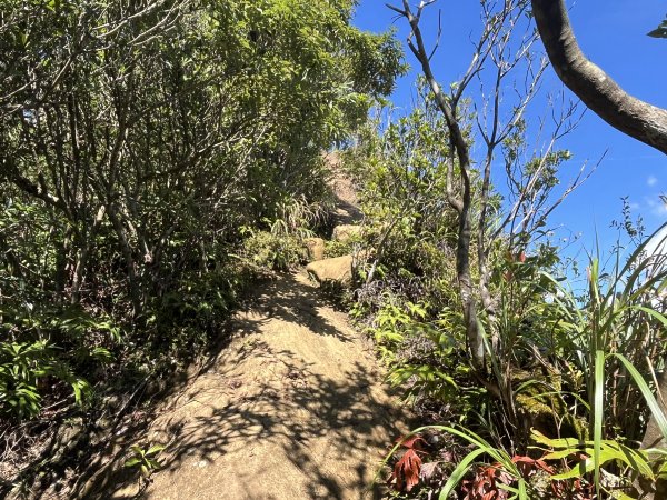 [微笑山線_第九段] 2025_0914 二格山系_皇帝殿東峰2889509