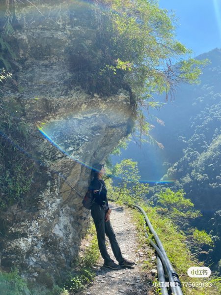 南投東埔八通關古道1493180