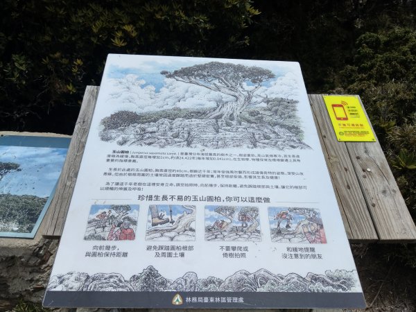 高雄/花蓮/台東-嘉明湖-向陽山-三叉山3053725